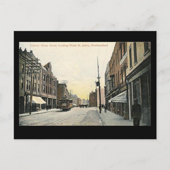 Ancienne carte postale - St John's (Terre-Neuve) (Devant)