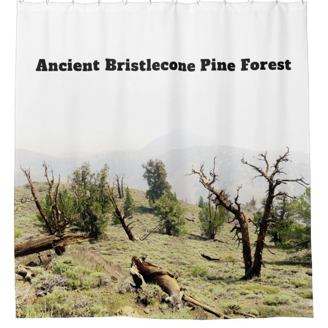 Ancient Bristlecone Pine Forest California Duschvorhang (Vorderseite)