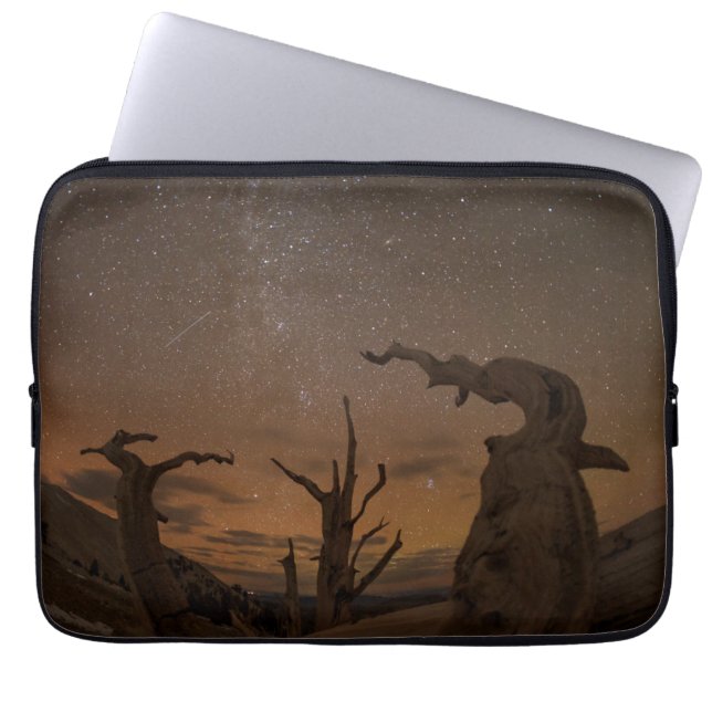 Ancient Bristlecone Pine Forest | Kalifornien Laptopschutzhülle (Vorderseite)
