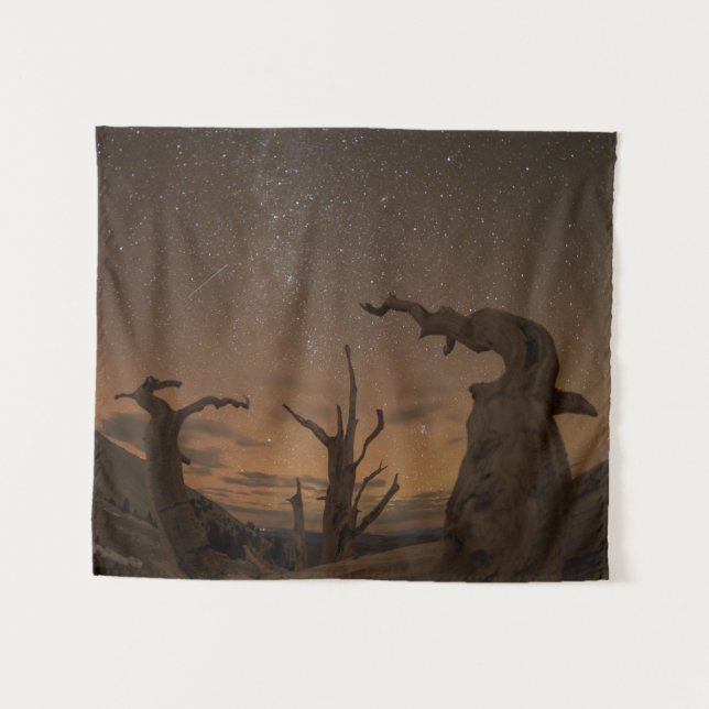 Ancient Bristlecone Pine Forest | Kalifornien Wandteppich (Vorderseite (Horizontal))