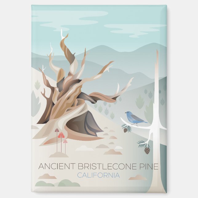 Ancient Bristlecone Pine Kühlschrank Magnet (Vorderseite)