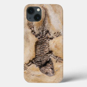 Ancient Dinosaur Fossil in Stone title_seo2