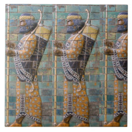 Ancient Persian Warrior  Fliese