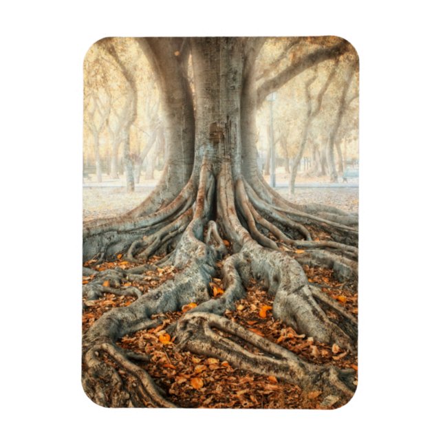 Ancient Tree Roots Magnet (Vertikal)