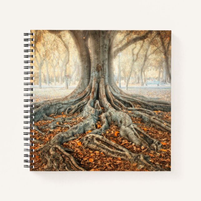 Ancient Tree Roots Notizbuch (Vorderseite)