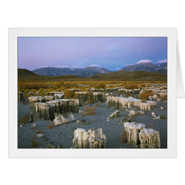 "Ancient Watermark" (Vorderseite (Horizontal))