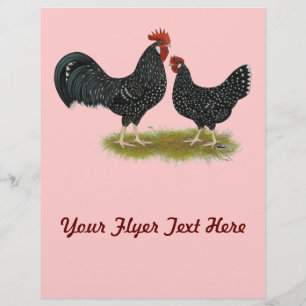 Ancona Chickens Flyer