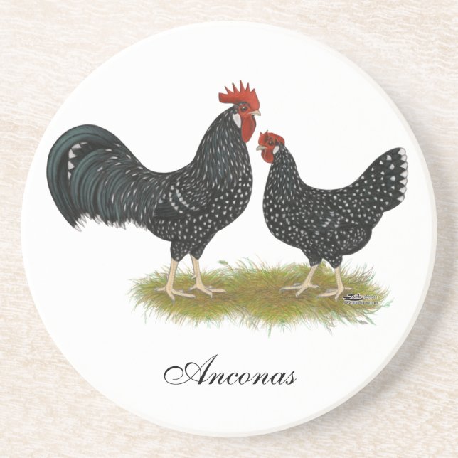 Ancona Chickens Untersetzer (Vorne)