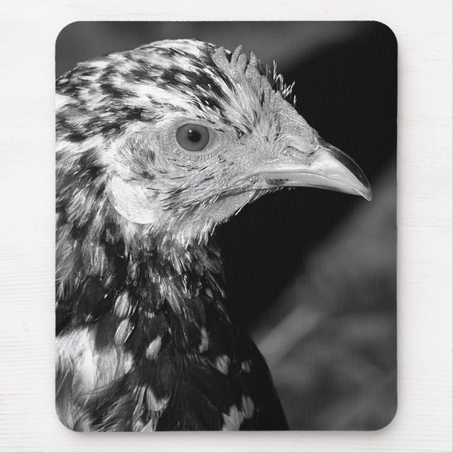 Ancona Hen Mousepad (Vorne)