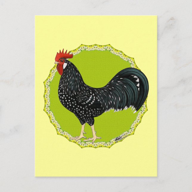 Ancona Rooster Postkarte (Vorderseite)
