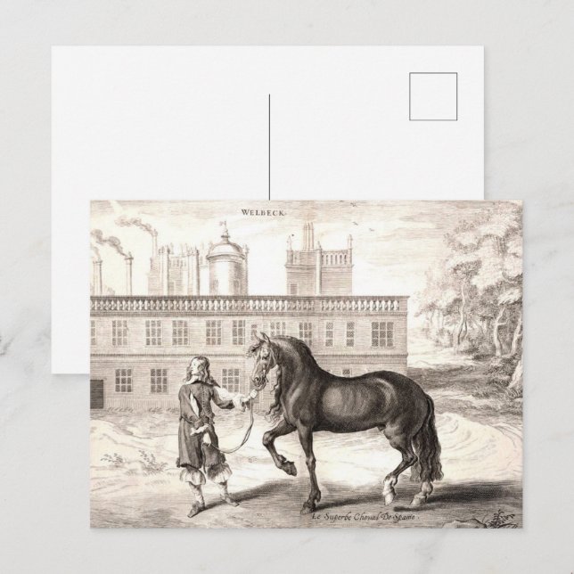 Andalusien - Das Vintage Reiten Postkarte (Vorne/Hinten)
