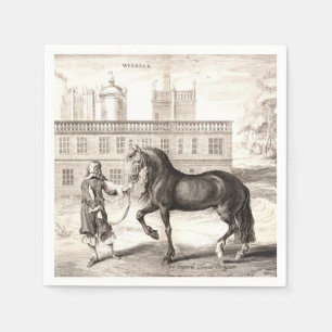 Andalusien - Das Vintage Reiten Serviette