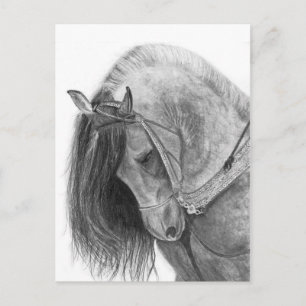 Andalusien Postkarte