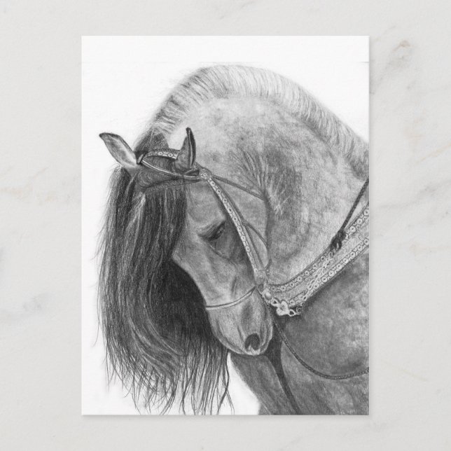 Andalusien Postkarte (Vorderseite)