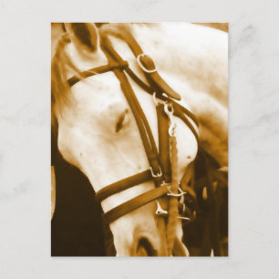 Andalusische Postkarte