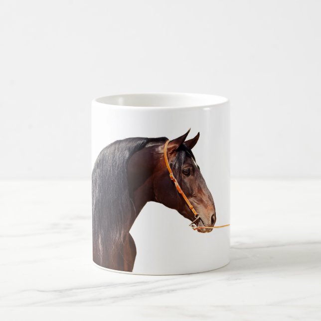 andalusischer Stallion am Weiß Kaffeetasse (Mittel)