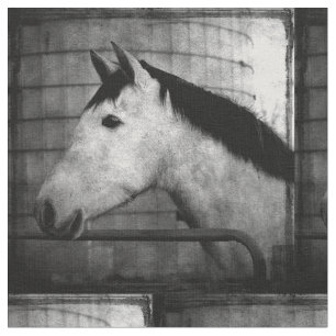 Andalusisches Pferd Stoff
