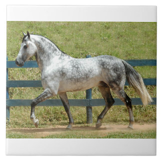 Andalusisches Stallions-Trotten Fliese