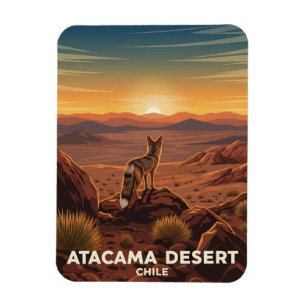 Andean Fox im Chile der Atacama-Wüste Magnet