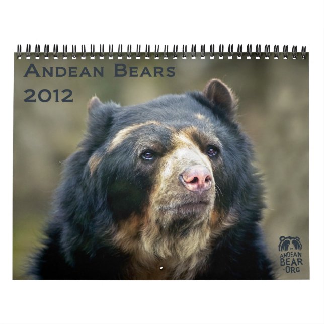 Andenbären 2012 - 15 Monate Kalender (Titelbild)