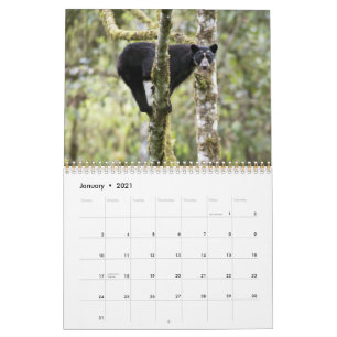 Andenbeere II -15 Monate Kalender 1/2012 - 3/2013