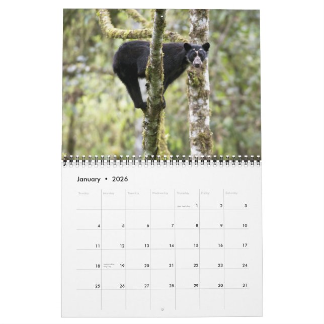 Andenbeere II -15 Monate Kalender 1/2012 - 3/2013 (Jan 2026)