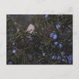 "Andere blaue Welten" Postkarte