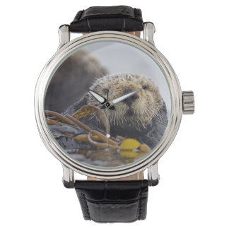 Andere überraschende Beobachtung Armbanduhr