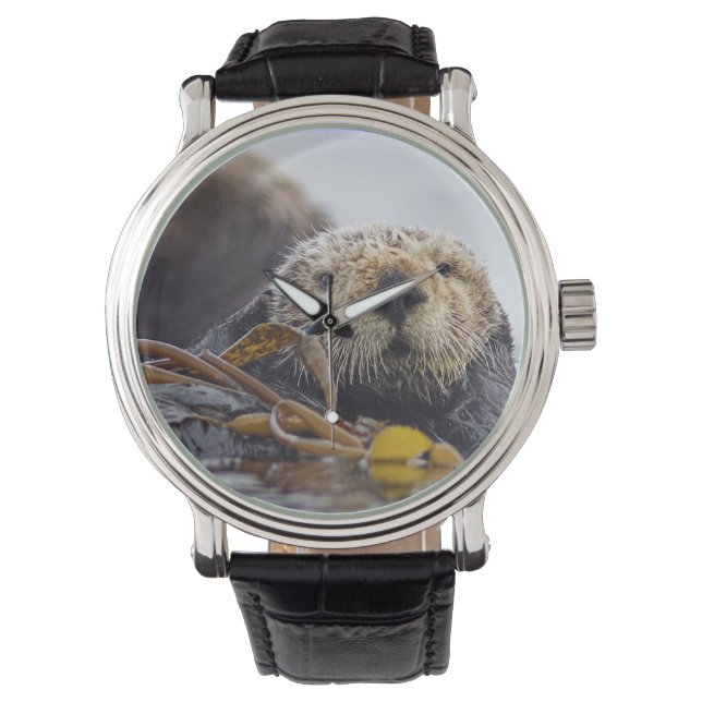 Andere überraschende Beobachtung Armbanduhr (Vorderseite)