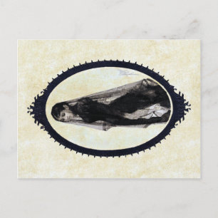 Anders Zorn, La Carte Postale Widow