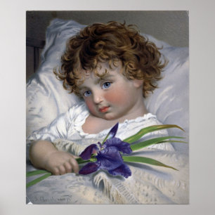 Anderson - Prattling Primrose Poster