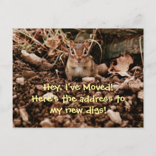 Änderung der Adresse Chipmunk-Postkarte Ankündigungspostkarte