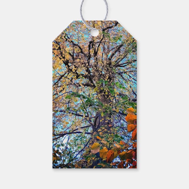 Änderung der Blätter Geschenkanhänger (Vorderseite)