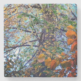 Änderung der Blätter Steinuntersetzer