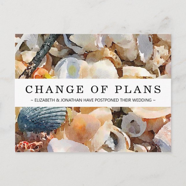 Änderung der Pläne Muscheln & Driftwood-Postkarte Postkarte (Vorderseite)