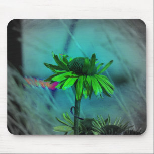Änderungen an der Konfiguration Mousepad