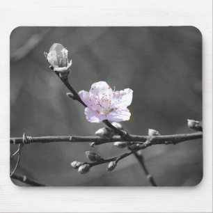 Andeutung der rosa Kirschblüte Mousepad