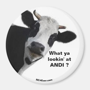 ANDI Was siehst du dir an? Spaß Magnet