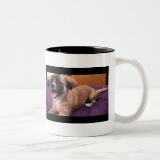Andre: Der König der Welpen-Tasse! Zweifarbige Tasse
