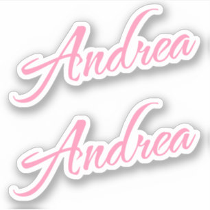 Andrea Decorative Name in Pink x2 Aufkleber