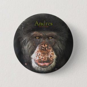 Andres, die Schimpansen Gerettet Button