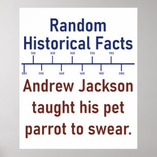 Andrew Jackson lehrte seinen Papagei zu Swear - Hi Poster