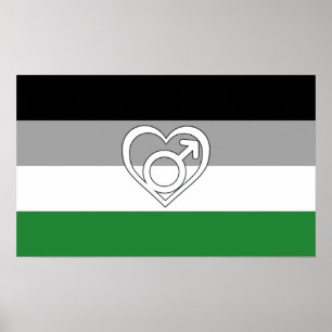 Androphilie-Stolzflagge und Symbol Poster