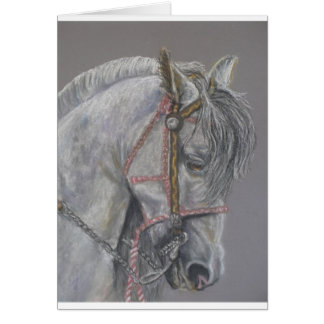 Andualusian Pferdekarte