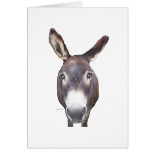 Âne dans votre visage