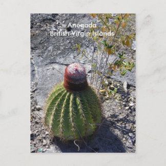 Anegada BVI Postkarte