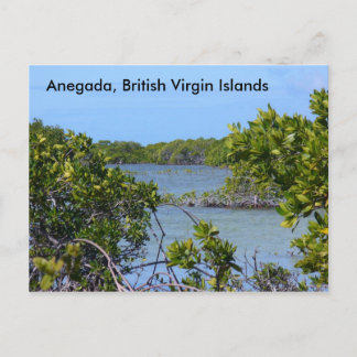Anegada BVI Postkarte