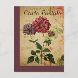 Anemon der Vintagen botanischen Postkarte