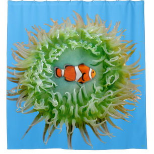 Anemon Duschvorhang