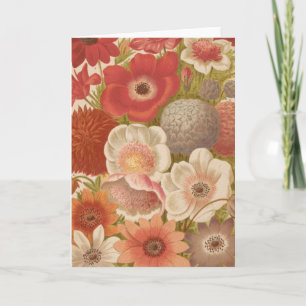 Anemon   George Nicholson Karte